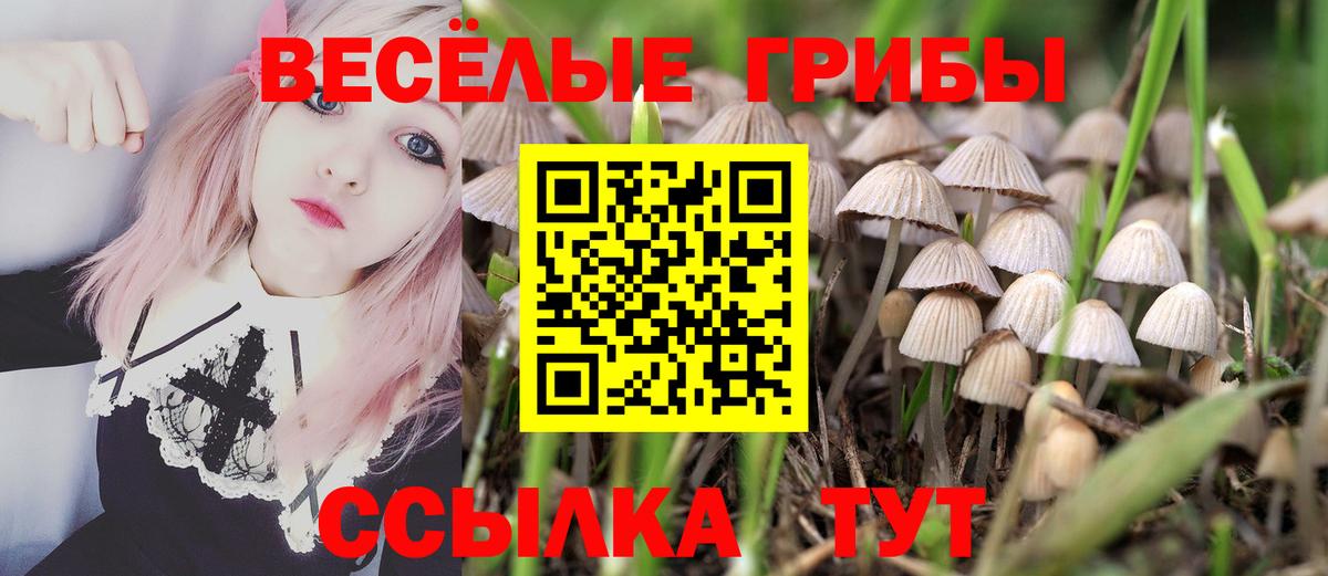 Псилоцибиновые грибы Magic Shrooms Озёры