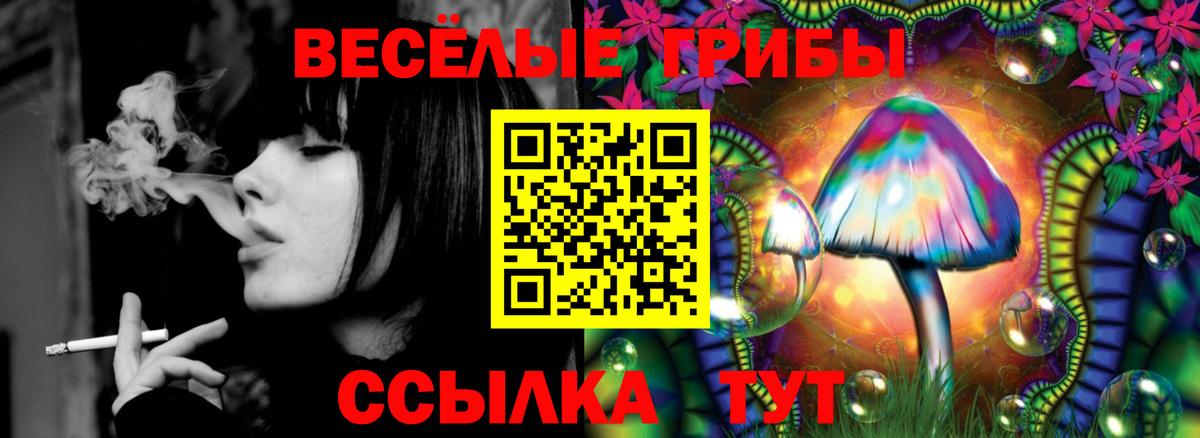 Озёры  Галлюциногенные грибы ЛСД  Вход с VPN  Псилоцибиновые грибы ЛСД 